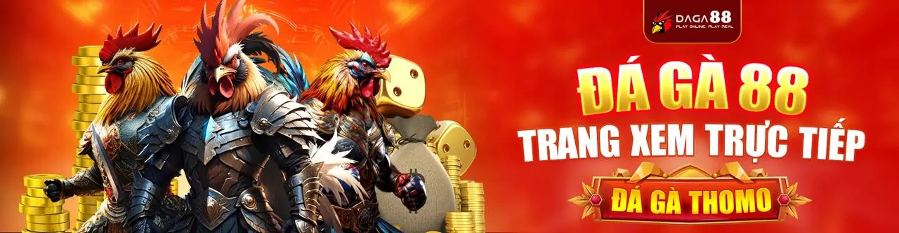 Minh họa việc thu thập thông tin người dùng an toàn tại rrr88 win.